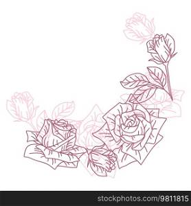 Background with rose flowers. Beautiful decorative plants. Natural illustration.. Background with rose flowers. Beautiful decorative plants.
