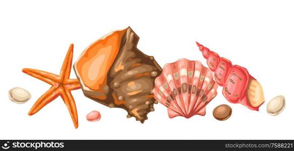 Background with seashells. Tropical underwater mollusk shells decorative illustration.. Background with seashells. Tropical underwater mollusk shells.
