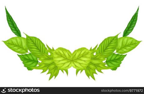 Background with spring leaves. Beautiful decorative natural foliage.. Background with spring leaves. Beautiful decorative foliage.