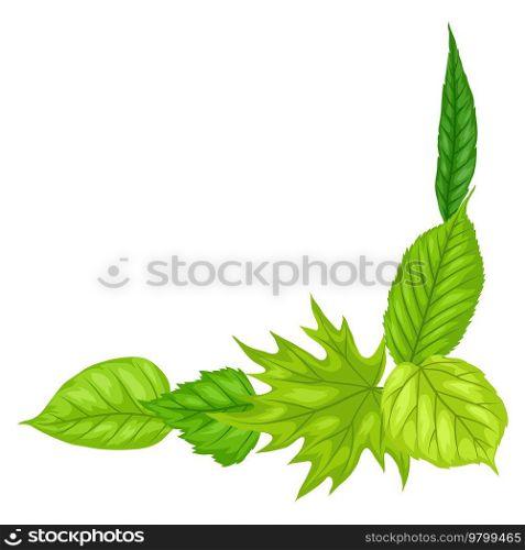 Background with spring leaves. Beautiful decorative natural foliage.. Background with spring leaves. Beautiful decorative foliage.
