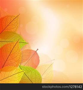Background with stylized autumn leaves