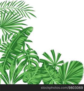 Background with stylized palm leaves. Decorative image of tropical foliage and plants.. Background with stylized palm leaves. Image of tropical foliage and plants.