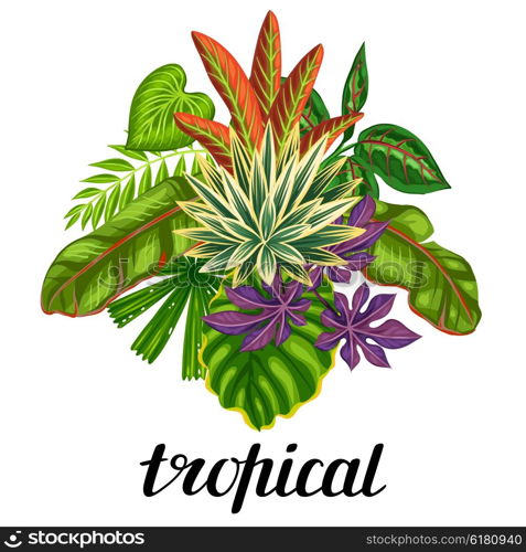 Background with stylized tropical plants and leaves. Image for advertising booklets, banners, flayers, cards, textile printing.