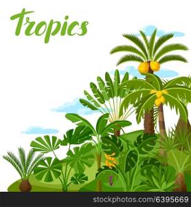 Background with tropical palm trees. Exotic tropical plants Illustration of jungle nature. Background with tropical palm trees. Exotic tropical plants Illustration of jungle nature.