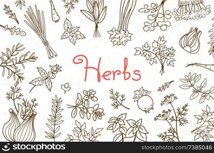 Background with various herbs used in cooking and inscription for the design of menus, recipes and packaging products. Vector illustration.. Background with various herbs used in cooking and inscription for the design of menus, recipes and packaging products. Vector illustration