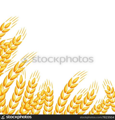 Background with wheat. Agricultural image natural golden ears of barley or rye.. Background with wheat.