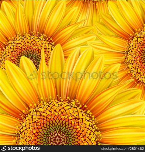 Background with yellow sunflowers. Mesh. Clipping Mask
