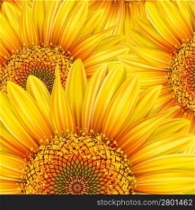 Background with yellow sunflowers. Mesh. Clipping Mask