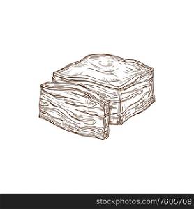 Bacon piece and slice isolated sketch. Vector raw food, butchery shop product. Cut slice of bacon isolated vector sketch
