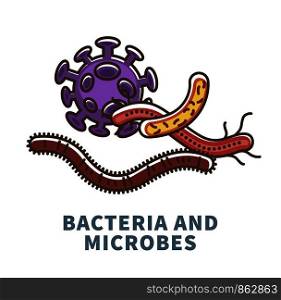 Bacteria and microbes of long and round shapes scientific biology poster. Microscopic elements that cause illnesses and protects immunity isolated cartoon flat vector illustration on white background.. Bacteria and microbes of long and round shapes