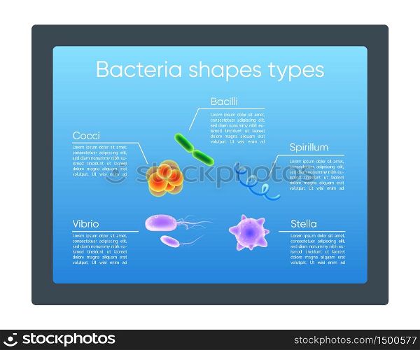 Bacteria shapes types realistic color vector informational infographic template. Microbes poster, booklet, PPT page concept design with 3d illustrations. Advertising flyer, leaflet, info banner idea. Bacteria shapes types realistic color vector informational infographic template