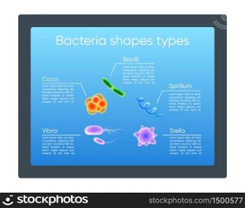 Bacteria shapes types realistic color vector informational infographic template. Microbes poster, booklet, PPT page concept design with 3d illustrations. Advertising flyer, leaflet, info banner idea. Bacteria shapes types realistic color vector informational infographic template