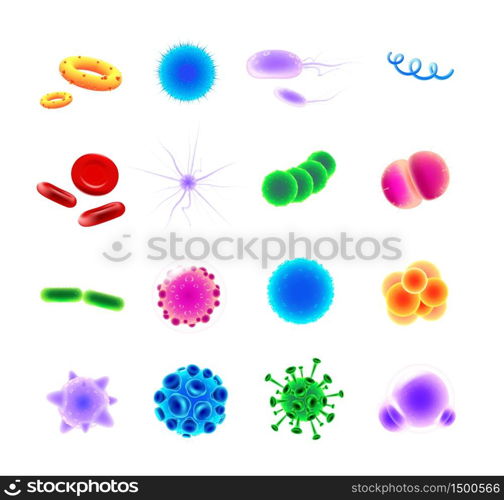 Bacteria types realistic vector icons set. Pathogen illustrations. Blood cells. Microbe and virus. 3d isolated color microorganisms of various shapes under microscope on white background. Bacteria types realistic vector icons set