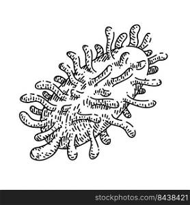 bacteria virus hand drawn vector. bacterium cell, germ disease, microbe biology bacteria virus sketch. isolated black illustration. bacteria virus sketch hand drawn vector