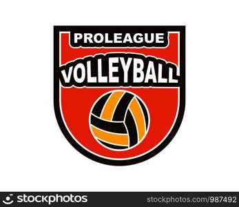 badge and logo of volley ball club vector icon illustration design