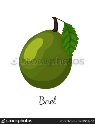 Bael exotic juicy fruit vector isolated icon. Aegle marmelos, Bengal quince, golden stone wood apple, Japanese bitter orange. Tropical edible food. Bael Exotic Juicy Fruit Vector Isolated Icon Aegle