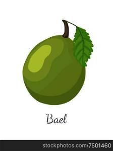 Bael exotic juicy fruit vector isolated icon. Aegle marmelos, Bengal quince, golden stone wood apple, Japanese bitter orange. Tropical edible food. Bael Exotic Juicy Fruit Vector Isolated Icon Aegle