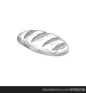 Baguette or long loaf bread isolated pastry food. Vector wheat bread, bakery monochrome product. Wheat long loaf bread isolated bakery food sketch
