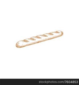 Baguette, wheat bread, pastry food isolated sketch. Vector bakery product of oblong shape. French baguette isolated oblong shape bun sketch