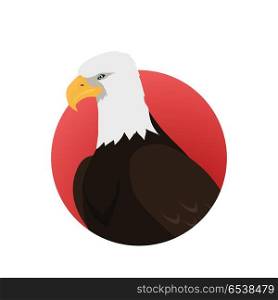 Bald Eagle Flat Design Vector Illustration. Bald eagle vector. Predatory birds wildlife concept in flat style design. North America fauna illustration. Picture for national symbolics, encyclopedia, books illustrating. Isolated on white.