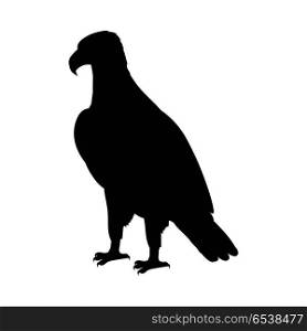 Bald Eagle Flat Design Vector Illustration. Bald eagle vector. Predatory birds wildlife concept. North America fauna illustration. Picture for national symbolics, encyclopedia, books illustrating. Isolated on white.