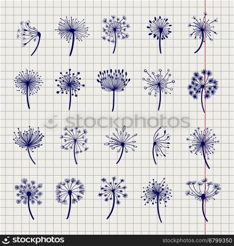 Ball pen dandelion sketch collection. Ball pen dandelion sketch collection. Dandelion and seeds on notebook page vector illustration