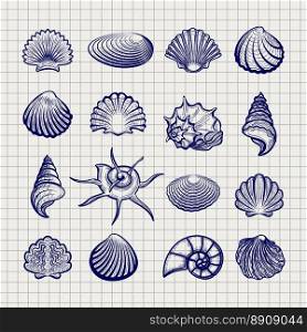 Ball pen sketch sea shells on notebook background. Ball pen sketch sea shells on notebook background vector
