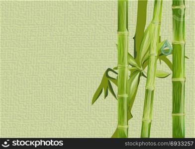 bamboo and drop of water on abstract background