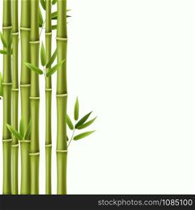 Bamboo background. Green bamboo rainforest stems, asian nature wallpaper in japanese style. Image frame border vector exotic traditional cultures illustration. Bamboo background. Green bamboo rainforest stems, asian nature wallpaper in japanese style. Image frame border vector illustration
