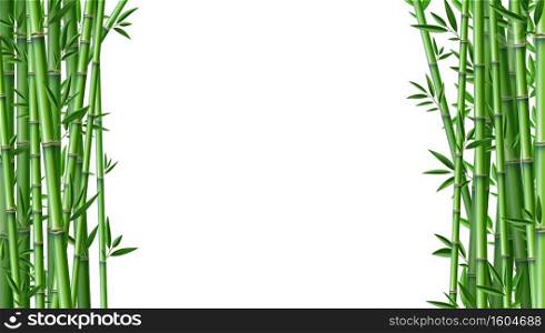 Bamboo background. Realistic framing banner with place for text. Green segmented trunk and narrow leaves. Floral borders and copy space. Natural decoration print template, vector tropical Asian forest. Bamboo background. Realistic framing banner with place for text. Green segmented trunk and narrow leaves. Floral borders and copy space. Natural decoration template, vector tropical forest