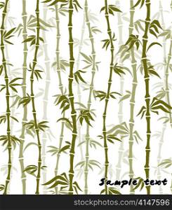 bamboo background vector illustration