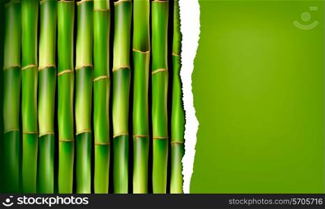 Bamboo background with ripped paper. Vector illustration.