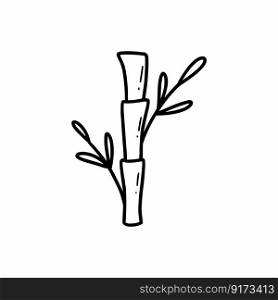 Bamboo branch in doodle style