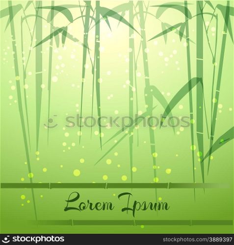 Bamboo grove background with space for your text. Only free fot used.. Bamboo Groove