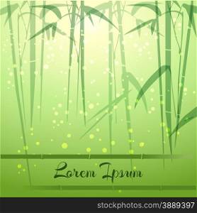 Bamboo grove background with space for your text. Only free fot used.. Bamboo Groove