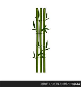 Bamboo icon, vector illustration