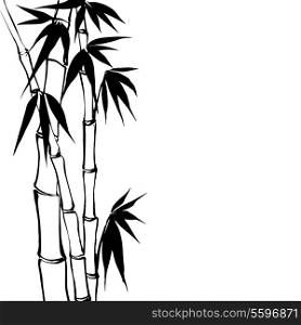 Bamboo isolated over white background. Vector illustration.