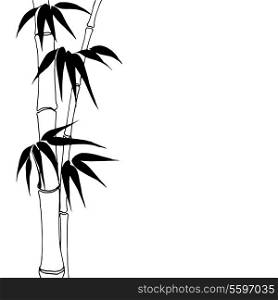 Bamboo isolated over white background. Vector illustration.