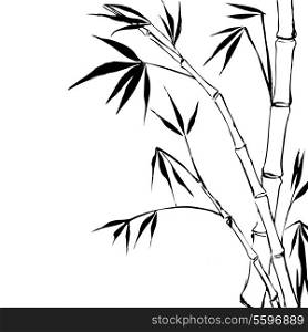 Bamboo isolated over white. Vector illustration, contains transparencies, gradients and effects.
