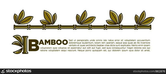 Bamboo leaf banner or poster background for SPA center or relax and beauty salon. Vector tropical palm or bamboo sprouts with green leaf for Zen or Asian and botany design template. Bamboo vector poster design of tropical palm leaf for SPA center