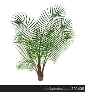 Bamboo palm icon. Cartoon illustration of bamboo palm vector icon for web. Bamboo palm icon, cartoon style