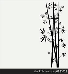 bamboo stems with leaves on white background