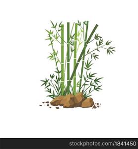 Bamboo tree leaf vector illustration , plant stem and stick. Bamboo green and brown decoration elements