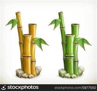 Bamboo, vector icon