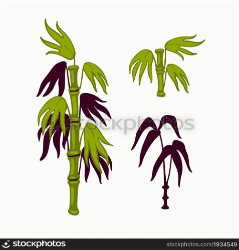 Bamboo vector, japanese bamboo leaves, and stems in oriental style background. Organic flat style vector illustration on white background.. Bamboo vector, japanese bamboo leaves, and stems in oriental style background. Organic flat style vector illustration on white background