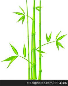 Bamboo, vector (mesh)