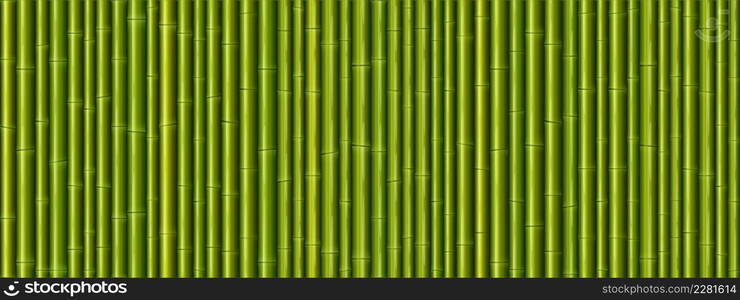 Bamboo wall texture. Seamless pattern with green tree sticks. Vector cartoon background of colored japanese or chinese cane wall. Tropical plant stems wallpaper. Bamboo wall texture seamless pattern