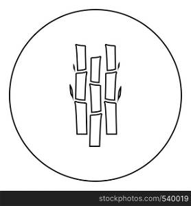 Bamboo with leafs Nature plant icon in circle round outline black color vector illustration flat style simple image