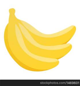 Banana branch icon. Isometric of banana branch vector icon for web design isolated on white background. Banana branch icon, isometric style