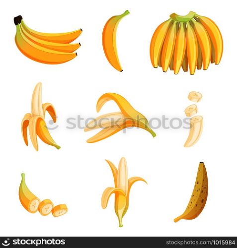 Banana cartoon. Fruits half appetizing dessert vector pictures collection. Illustration of banana sweet fruit, fresh ripe. Banana cartoon. Fruits half appetizing dessert vector pictures collection